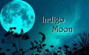 Music By The Bay-Indigo Moon @ American Legion Park