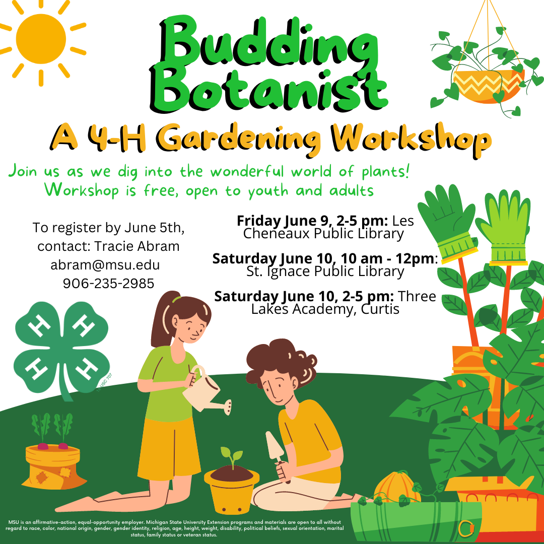 4-H Workshop: Budding Botanist