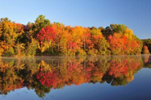 Autumn foliage reflection on lake in rural Pennsylvania