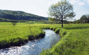 Flusslauf in der Wiese in Bayern, Deutschland